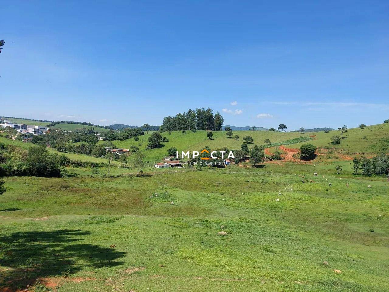 Sítio, 2 quartos, 5 hectares - Foto 1