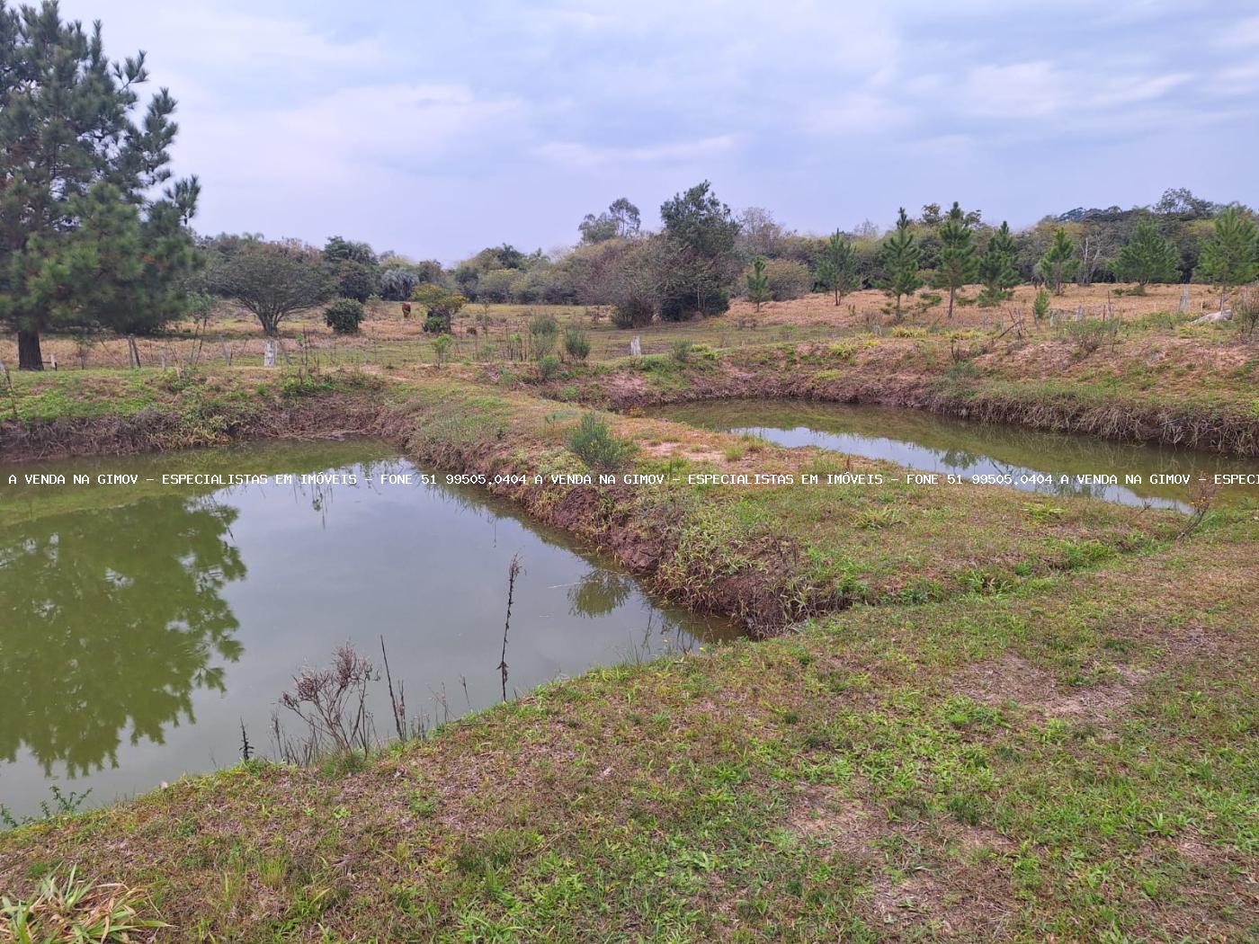 Chácara à venda com 2 quartos, 6790m² - Foto 12