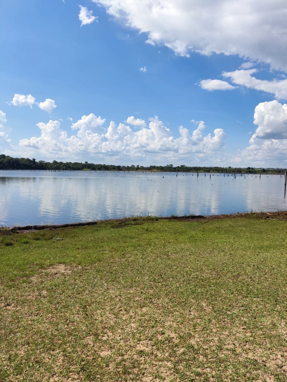 Fazenda-Sítio-Chácara, 537 hectares - Foto 1