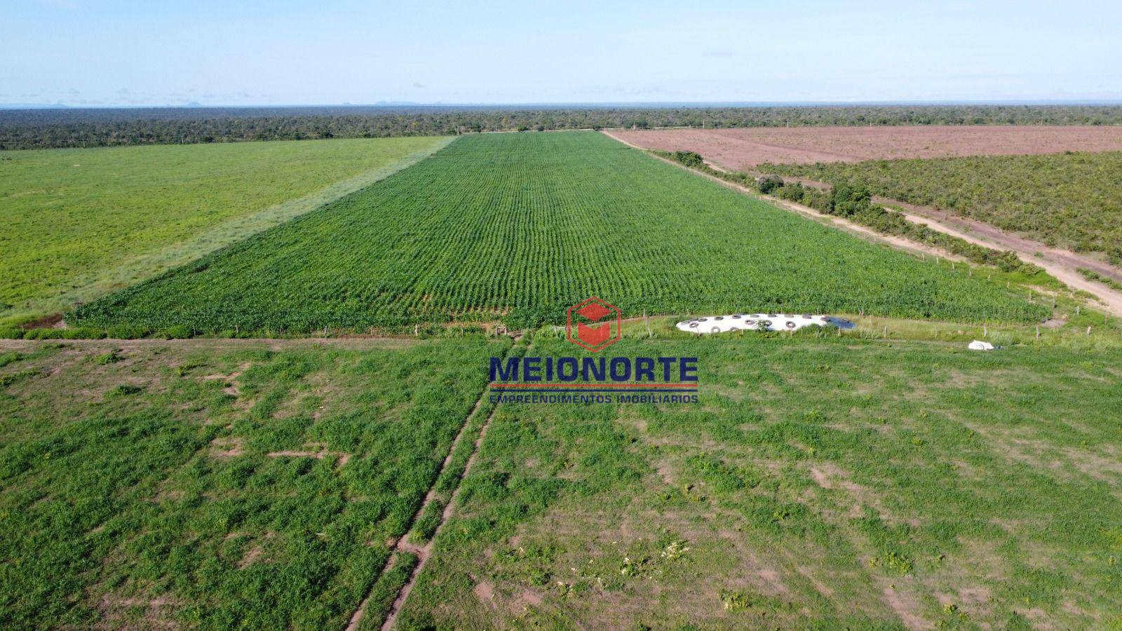 Fazenda à venda com 1 quarto, 7810000M2 - Foto 6