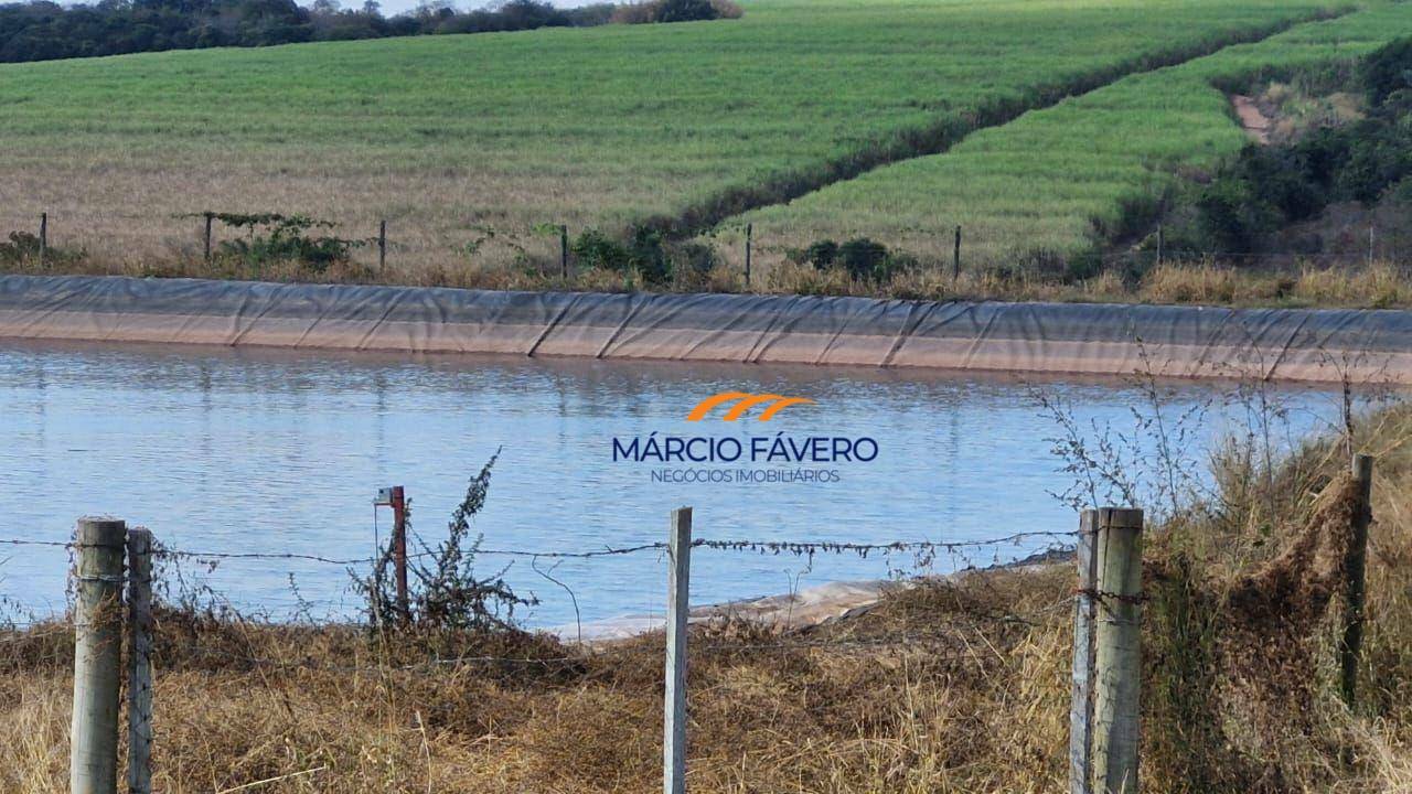 Sítio, 77 hectares - Foto 6