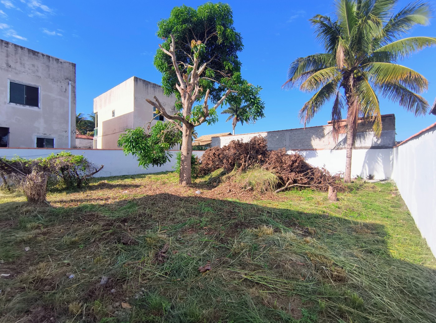 Casa à venda com 3 quartos, 600m² - Foto 14
