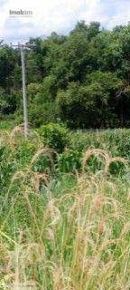 Loteamento e Condomínio à venda, 2948M2 - Foto 8