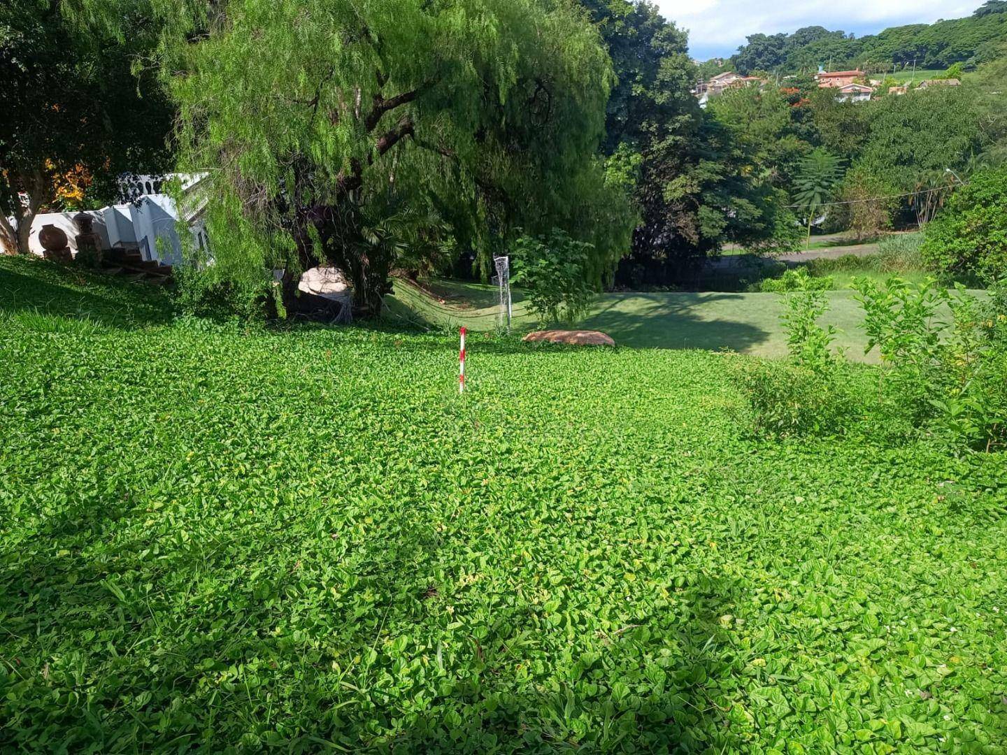 Chácara à venda com 4 quartos, 380m² - Foto 23