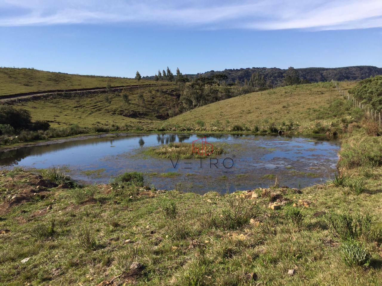 Sítio à venda, 293000M2 - Foto 4