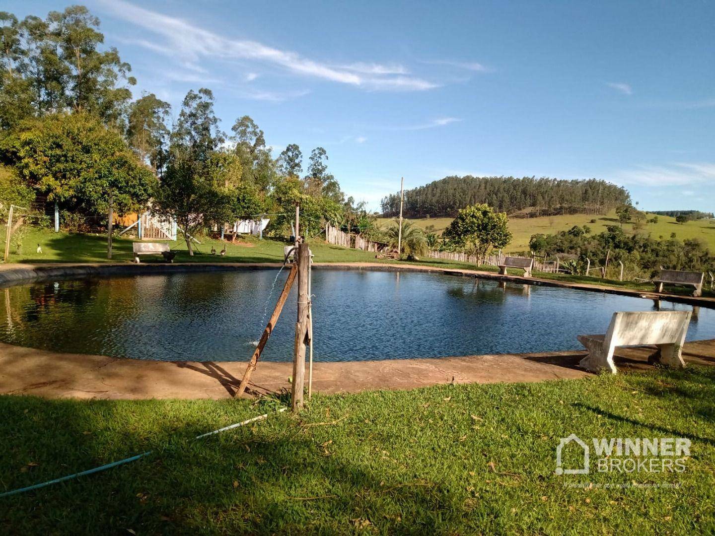 Chácara à venda com 3 quartos, 100m² - Foto 19