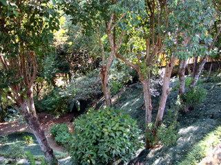 Casa de Condomínio à venda com 4 quartos, 418m² - Foto 17
