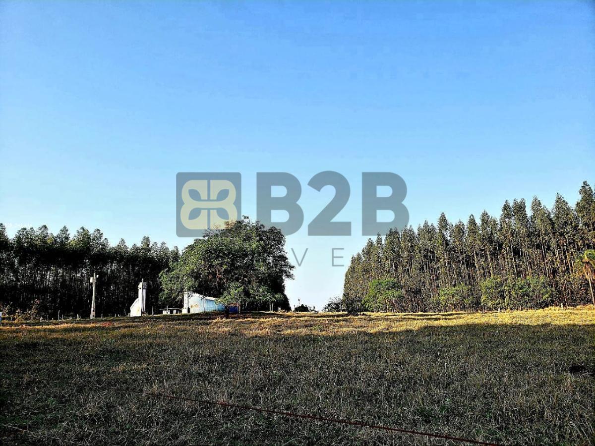 Fazenda à venda com 12 quartos, 900m² - Foto 23