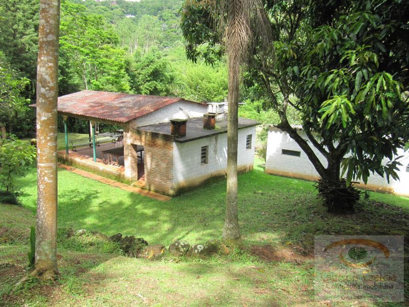 Sítio à venda com 3 quartos, 220m² - Foto 12