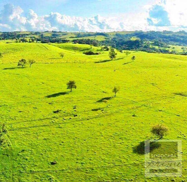 Fazenda à venda, 6050000M2 - Foto 22