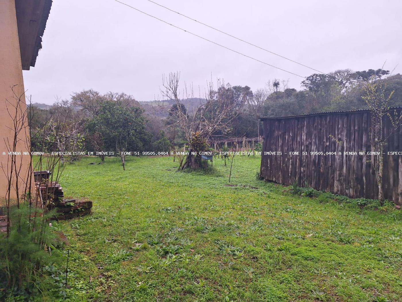 Fazenda à venda com 2 quartos, 141000m² - Foto 4