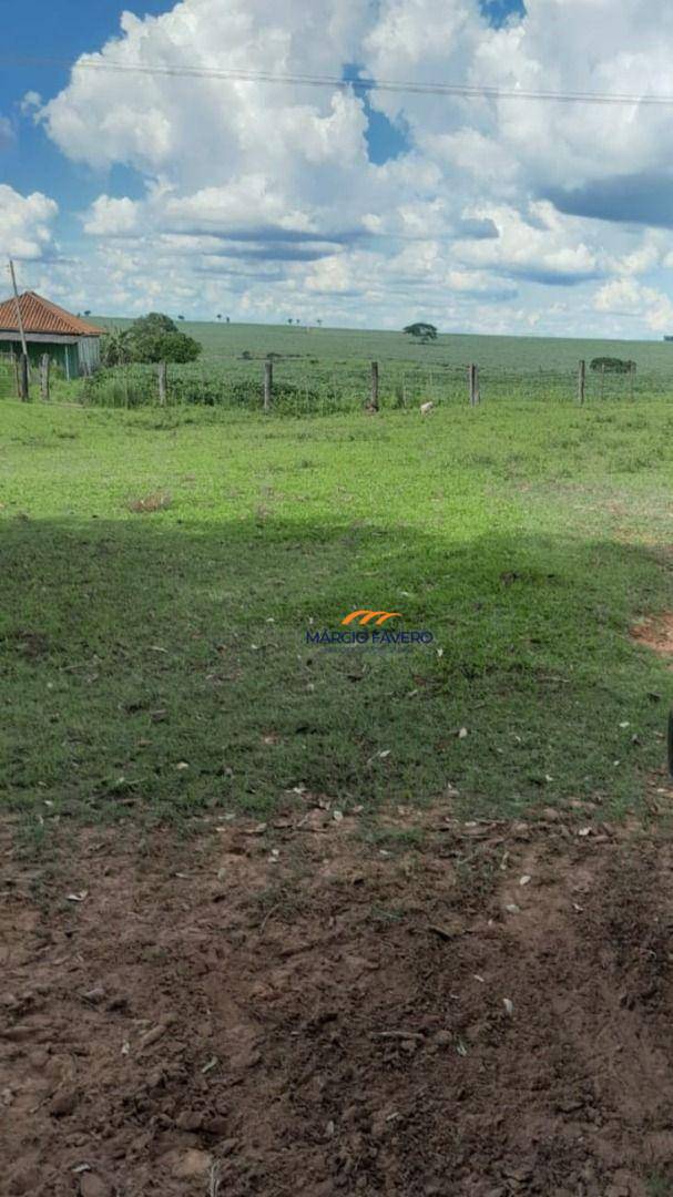 Fazenda, 339 hectares - Foto 8