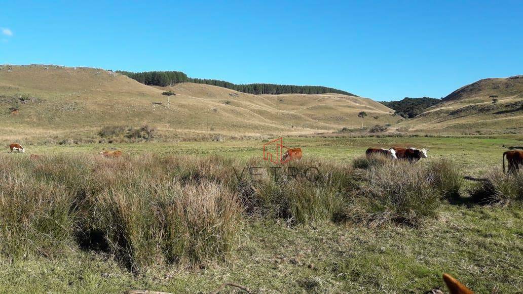 Sítio à venda, 20000M2 - Foto 2