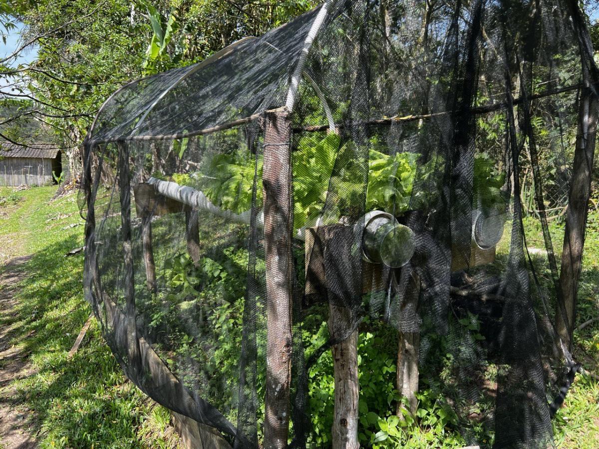 Fazenda à venda, 6300m² - Foto 61