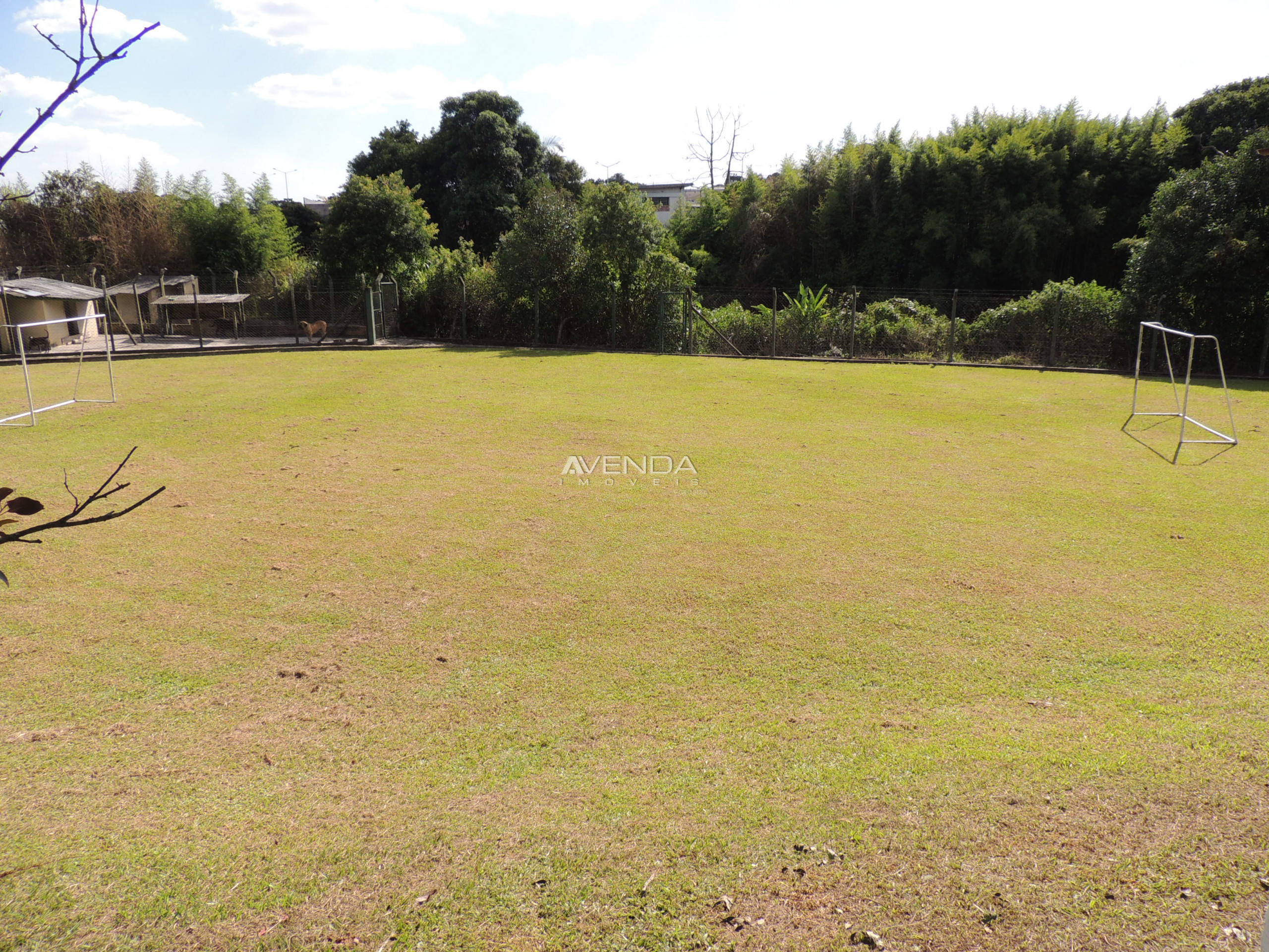 Fazenda à venda com 4 quartos, 1100m² - Foto 10