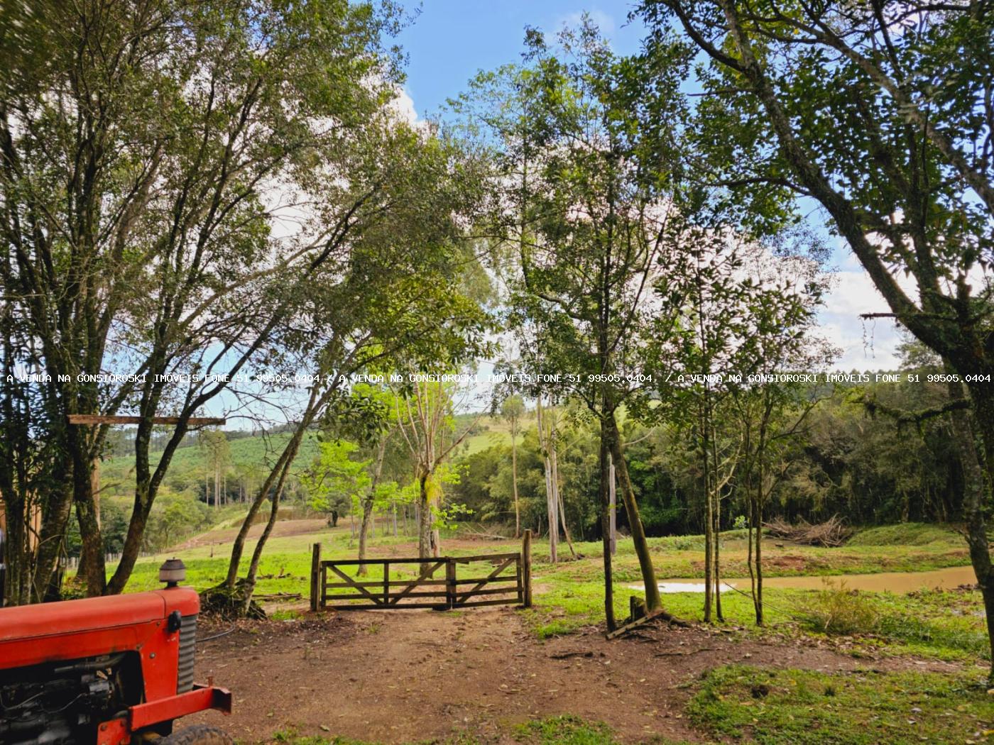 Sítio à venda, 30000m² - Foto 15