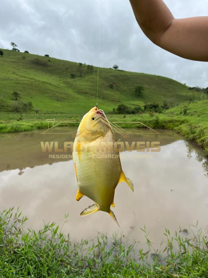 Fazenda à venda com 3 quartos, 20000m² - Foto 14