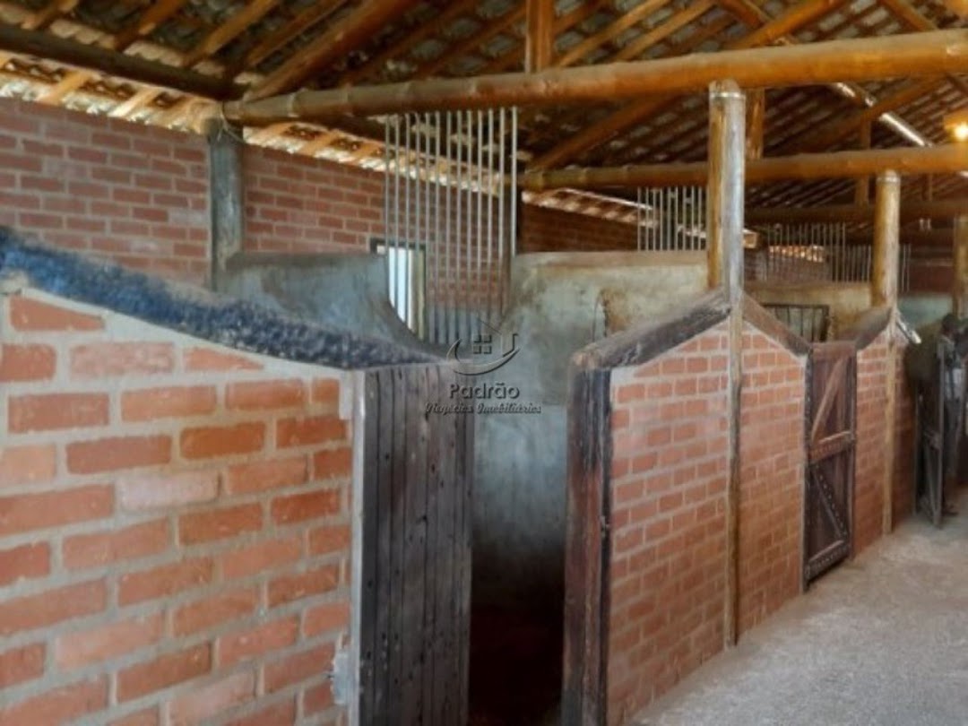 Fazenda à venda com 6 quartos, 1000m² - Foto 22