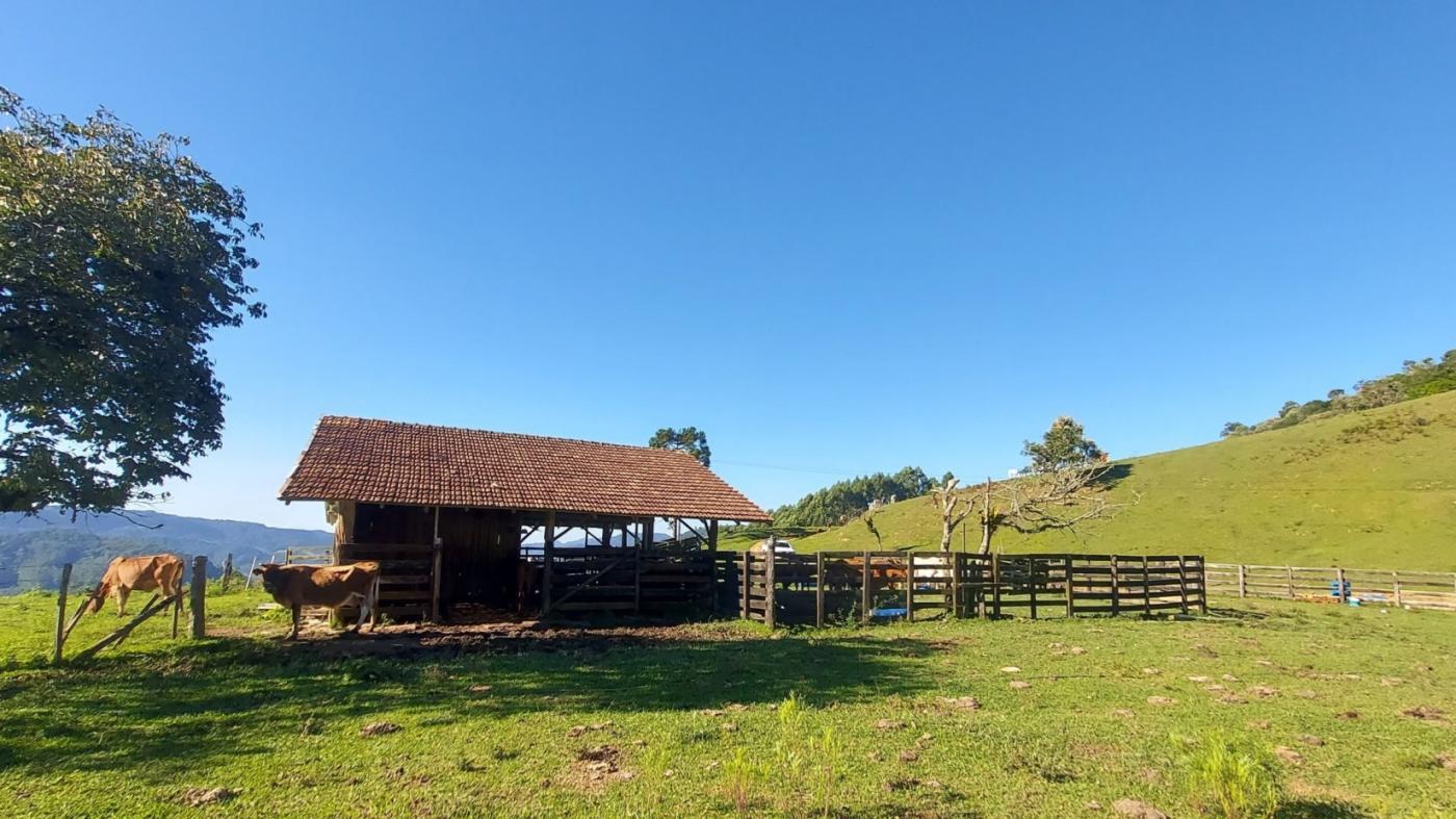 Fazenda à venda com 2 quartos, 925500m² - Foto 13