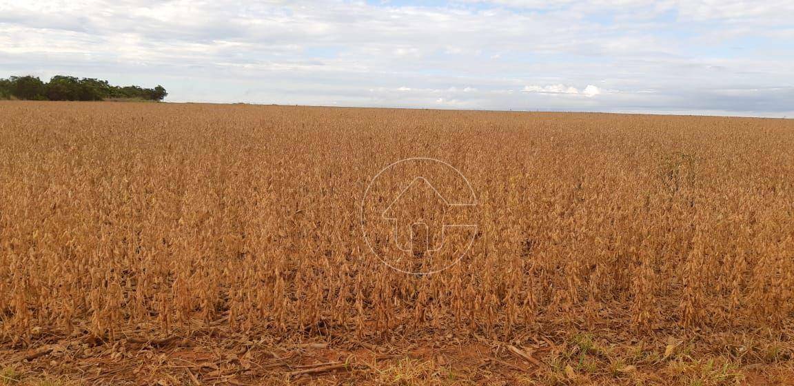 Fazenda à venda, 170000000M2 - Foto 4