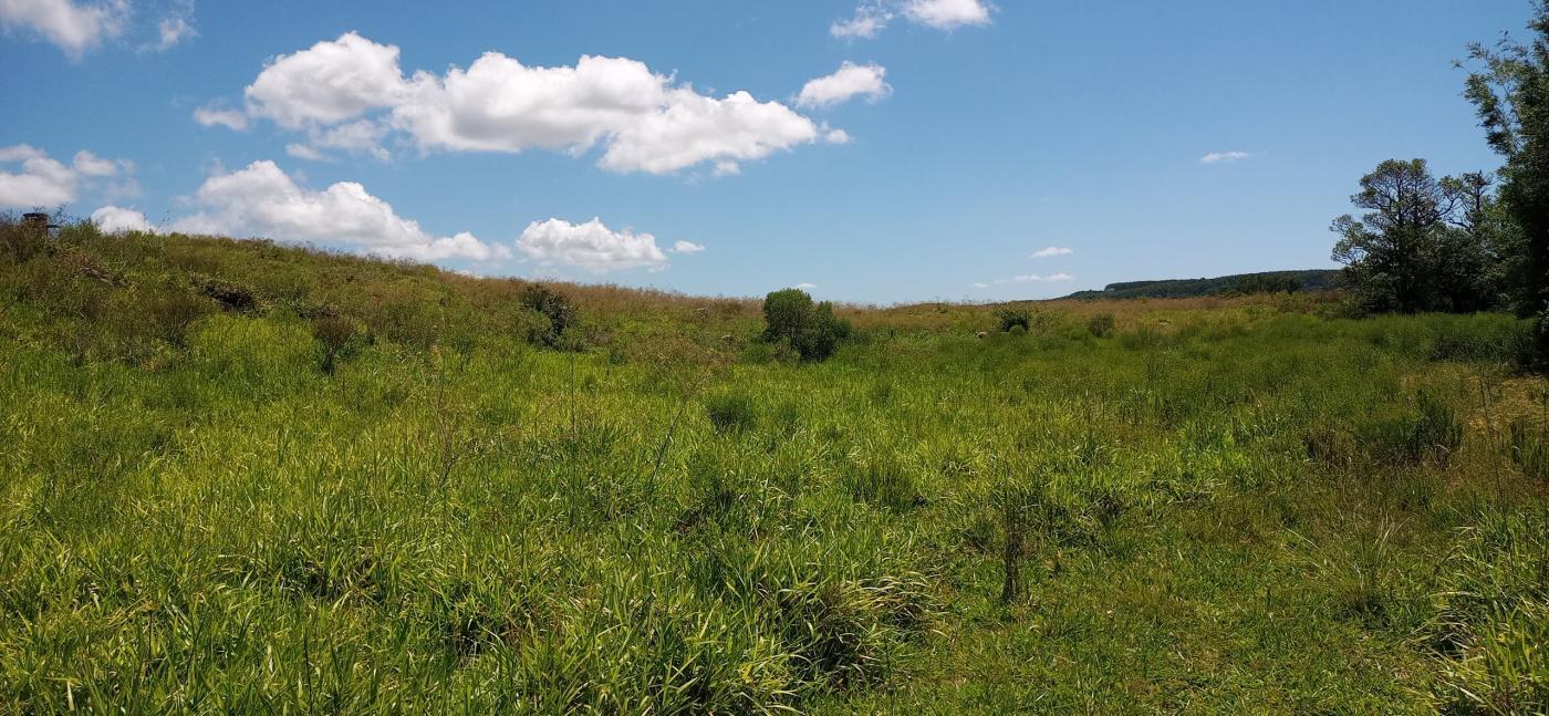 Loteamento e Condomínio, 12 hectares - Foto 4