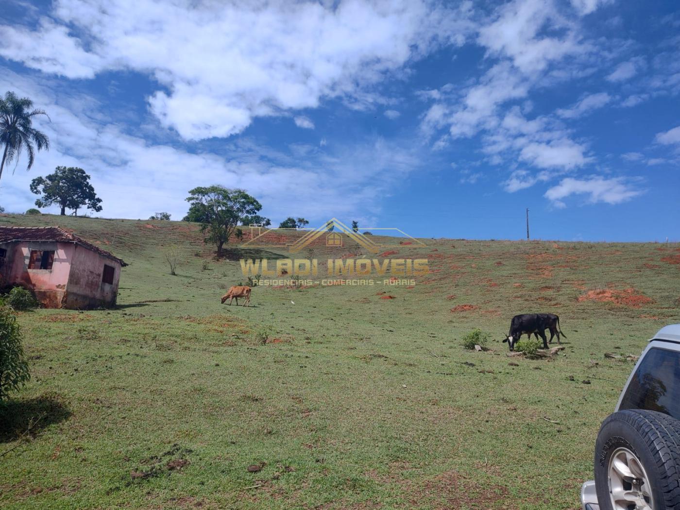 Fazenda à venda, 10m² - Foto 4