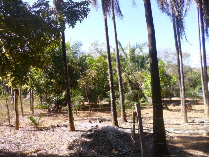 Fazenda à venda - Foto 23