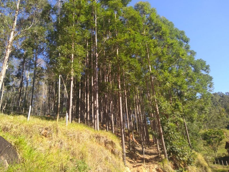 Fazenda à venda, 120m² - Foto 21
