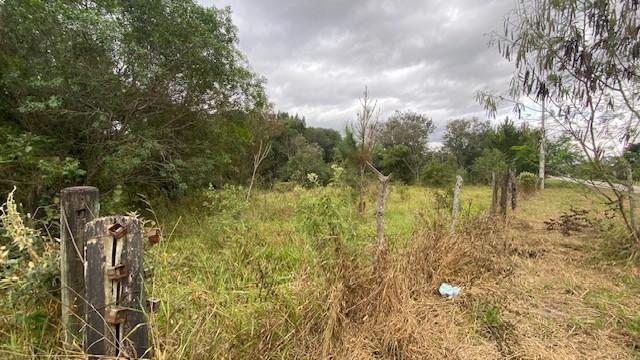 Terreno à venda, 10000m² - Foto 14