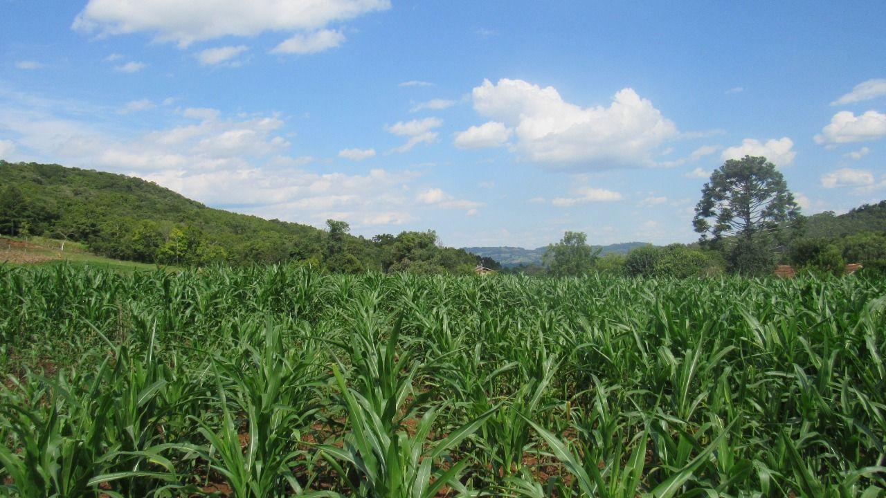 Loteamento e Condomínio à venda, 103000m² - Foto 48