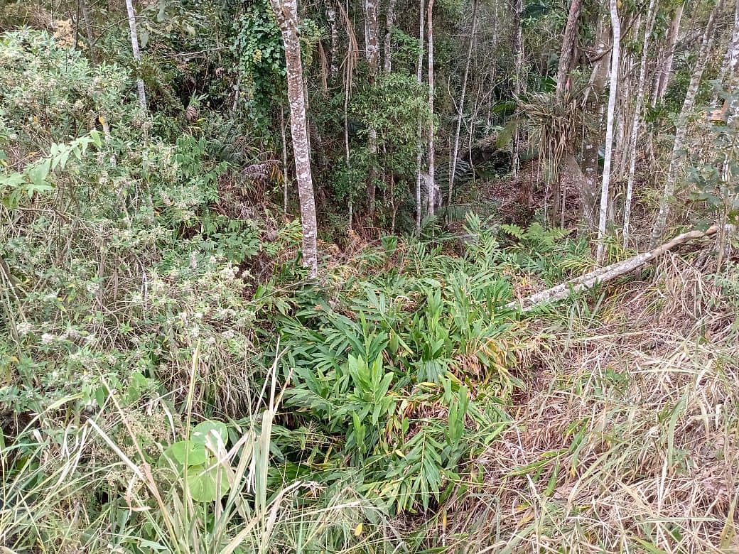 Fazenda à venda, 3000m² - Foto 16