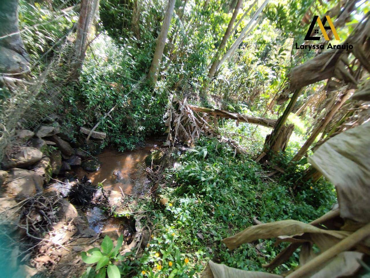 Chácara, 3 quartos, 1100 m² - Foto 3