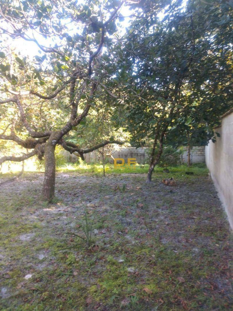 Chácara, 2 quartos, 3812 hectares - Foto 6