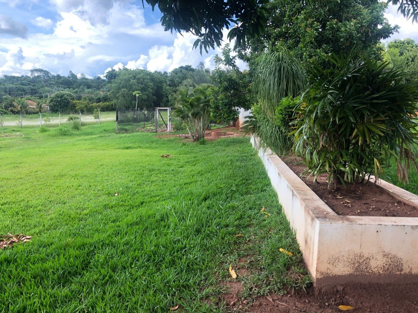 Fazenda à venda com 2 quartos, 160m² - Foto 12