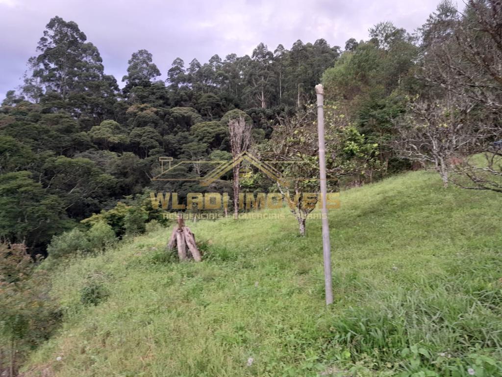 Fazenda à venda com 3 quartos, 34000m² - Foto 10