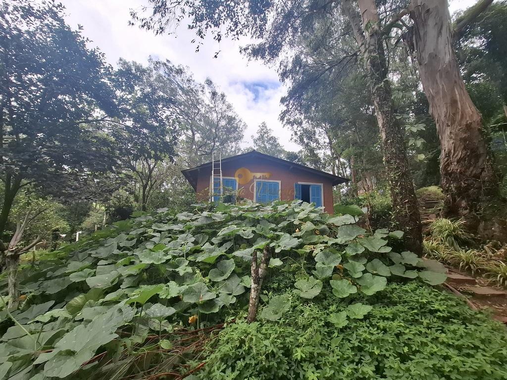 Sítio à venda com 5 quartos, 96800m² - Foto 40