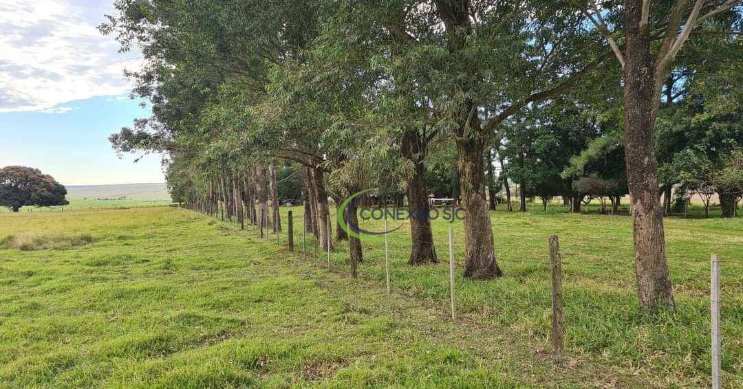 Fazenda à venda com 3 quartos, 575M2 - Foto 5