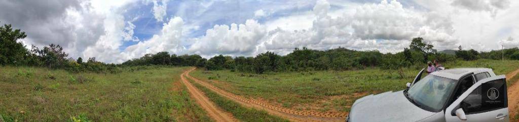 Fazenda à venda, 26790000M2 - Foto 7