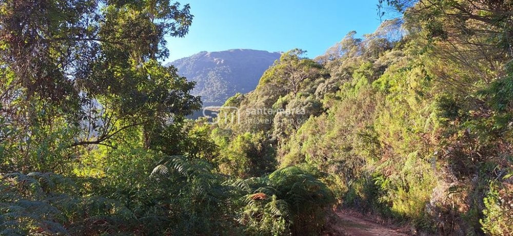 Fazenda à venda com 3 quartos, 64m² - Foto 34