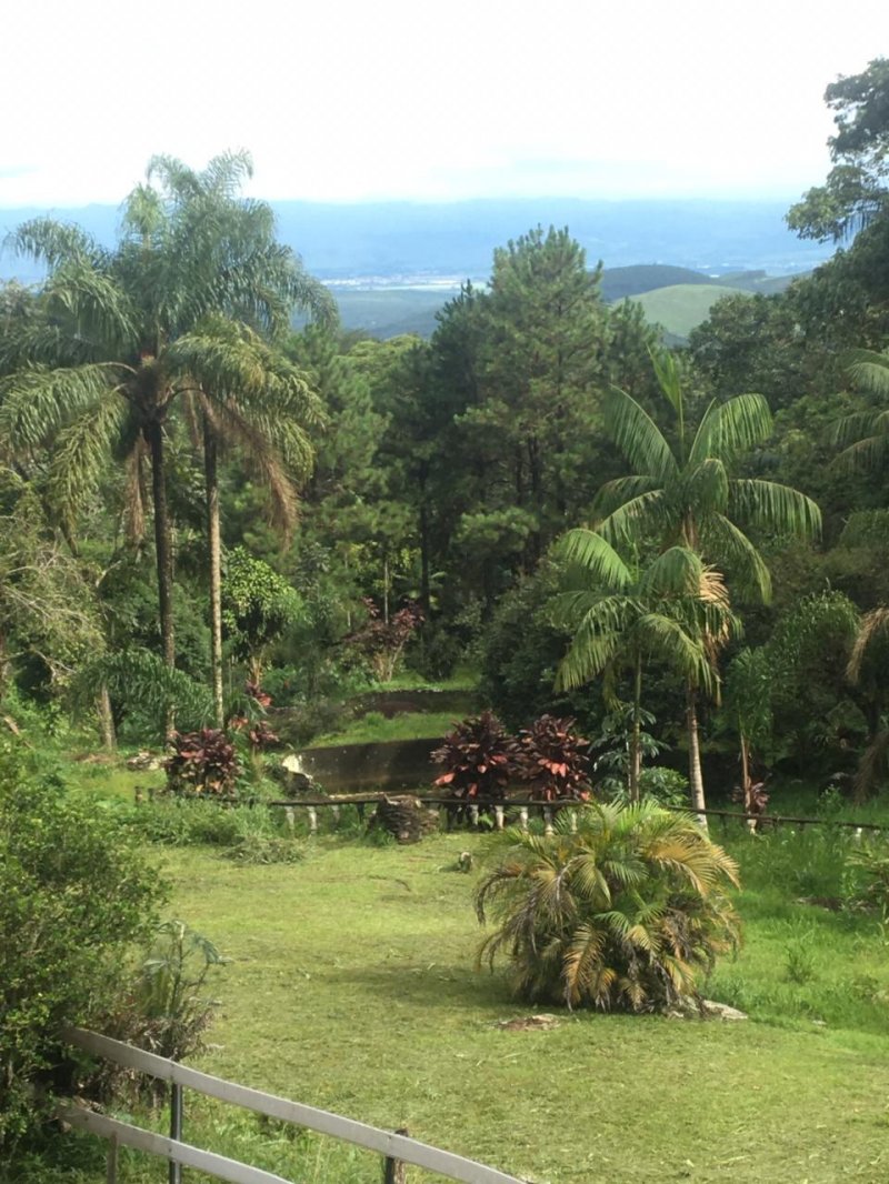 Fazenda à venda com 4 quartos, 90m² - Foto 2