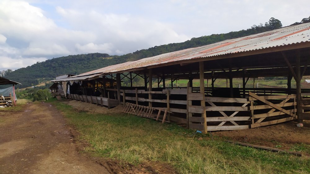 Fazenda à venda com 1 quarto, 2m² - Foto 4