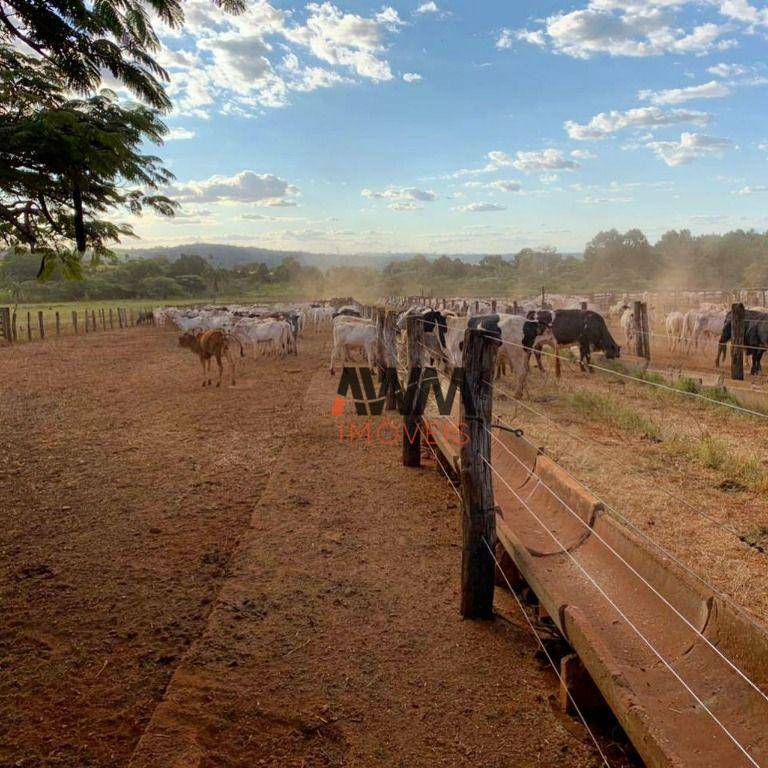 Fazenda à venda, 12100000M2 - Foto 10