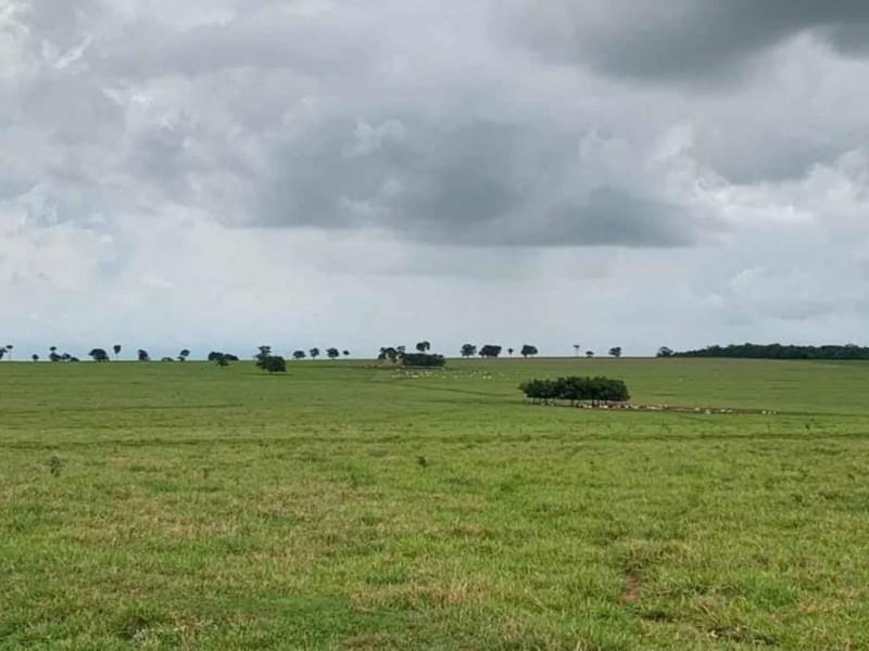 Fazenda à venda, 1467m² - Foto 12
