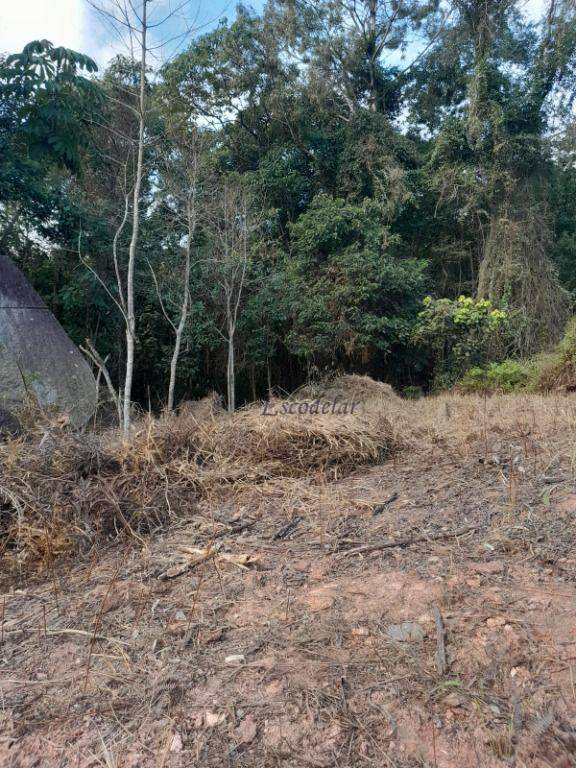 Loteamento e Condomínio à venda, 481M2 - Foto 23