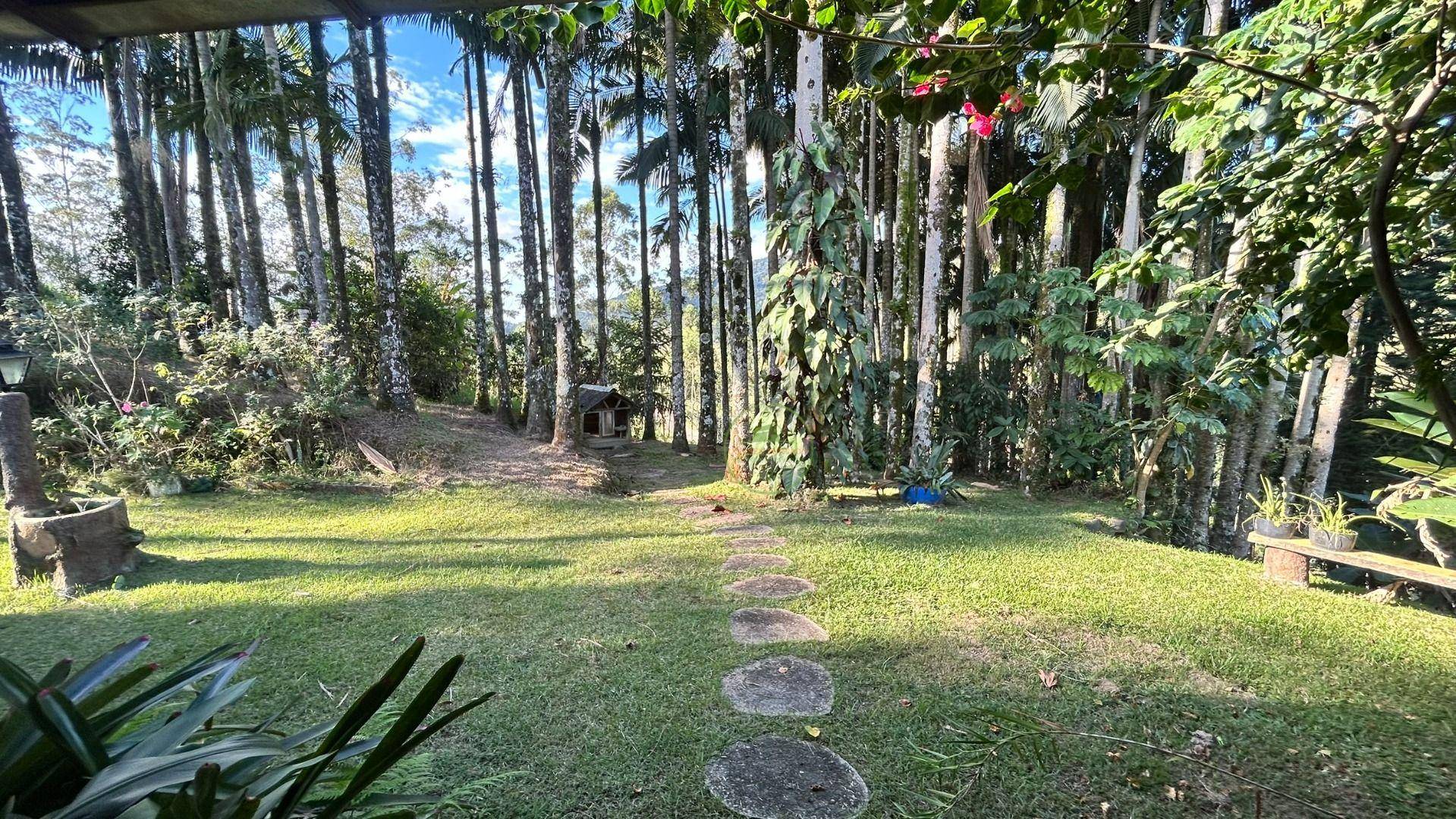 Sítio, 3 hectares - Foto 15