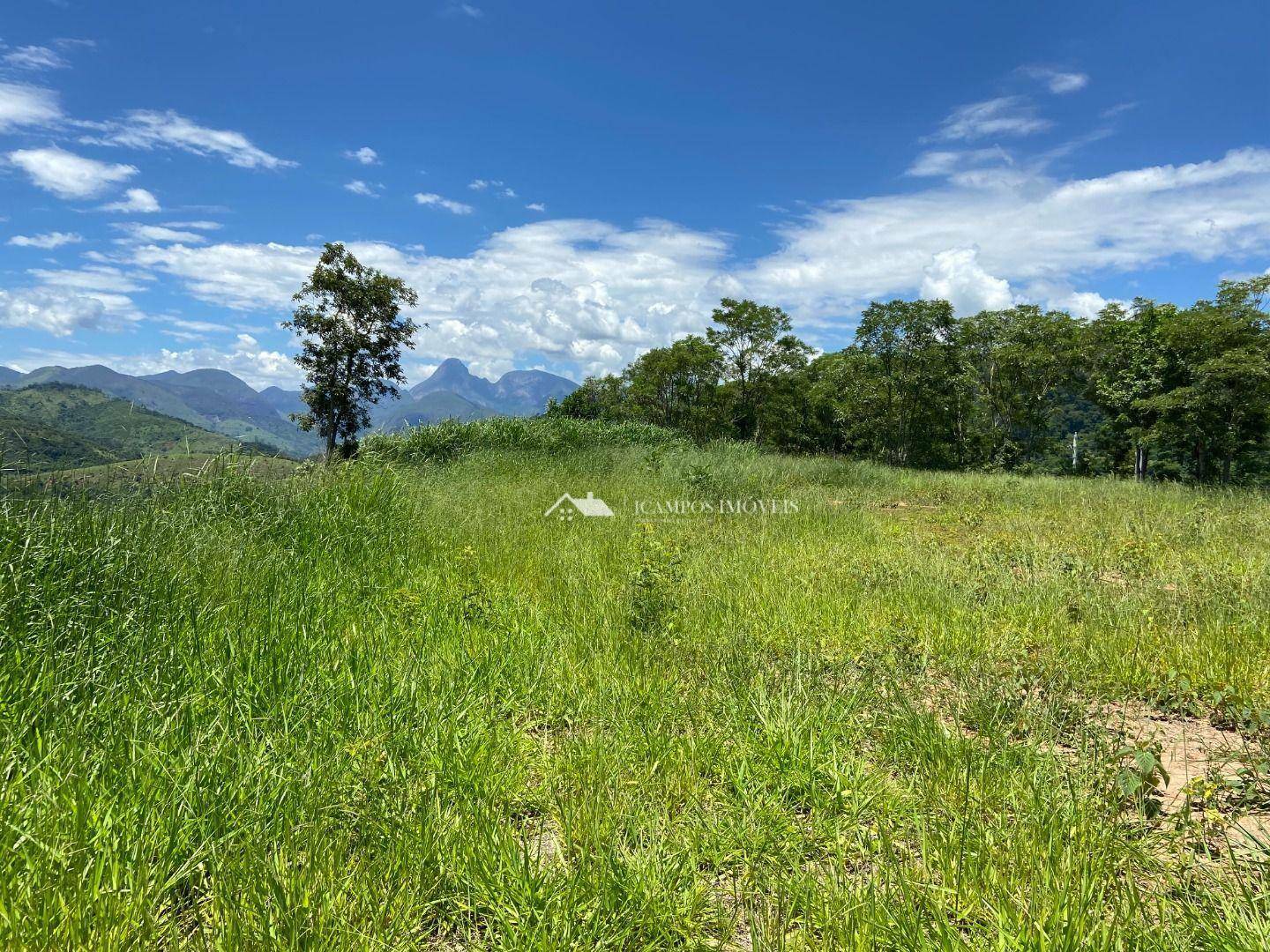 Terreno à venda, 5000M2 - Foto 5