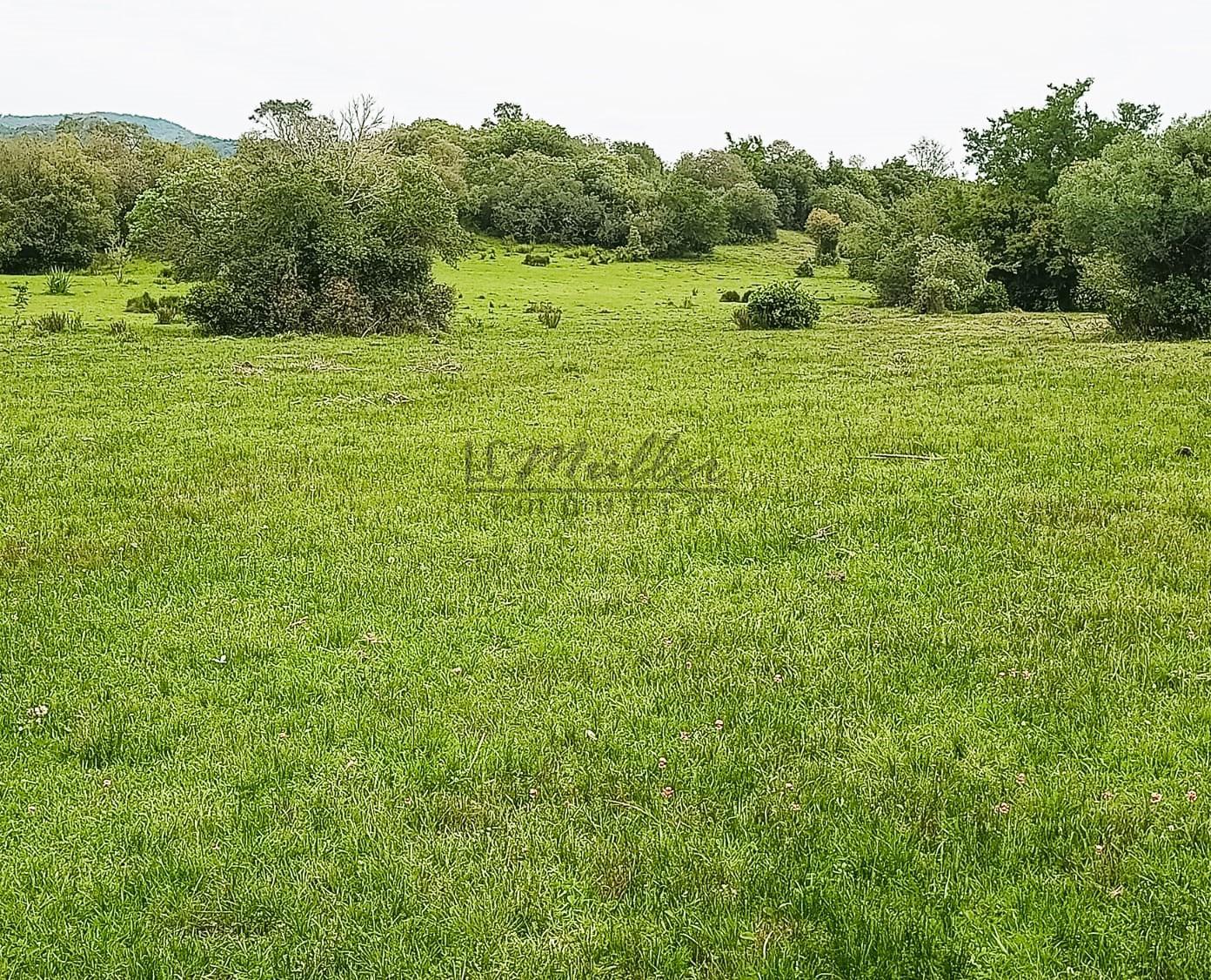 Fazenda à venda, 208m² - Foto 2