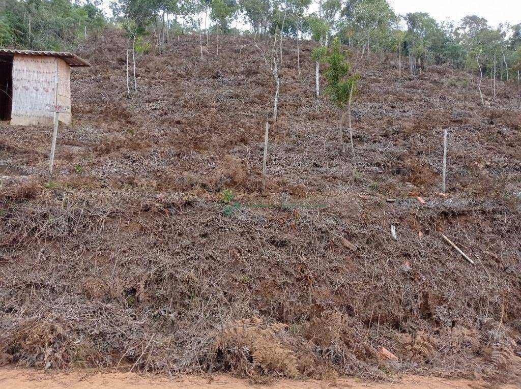 Terreno à venda, 1350M2 - Foto 2