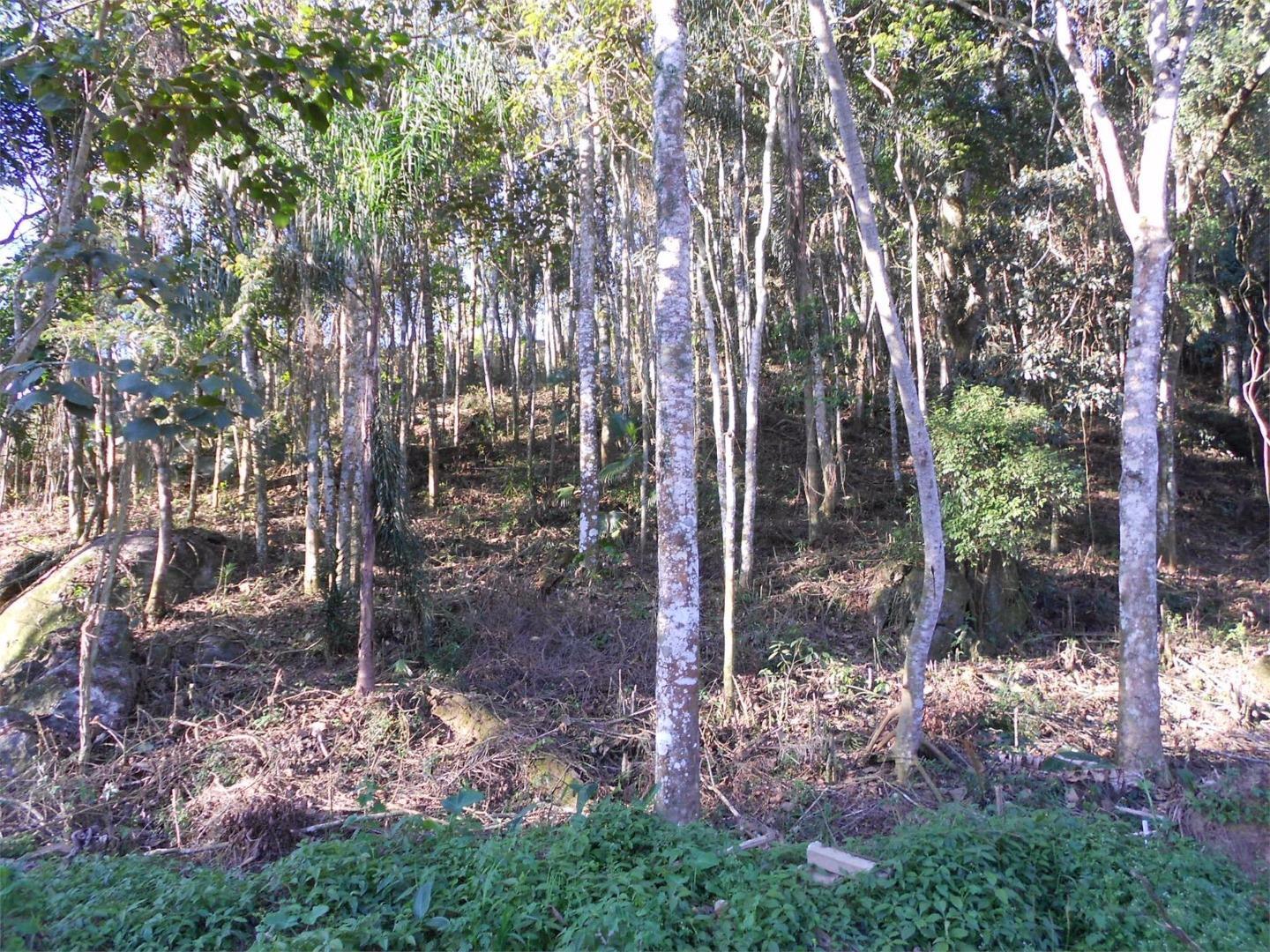 Terreno à venda, 517M2 - Foto 2