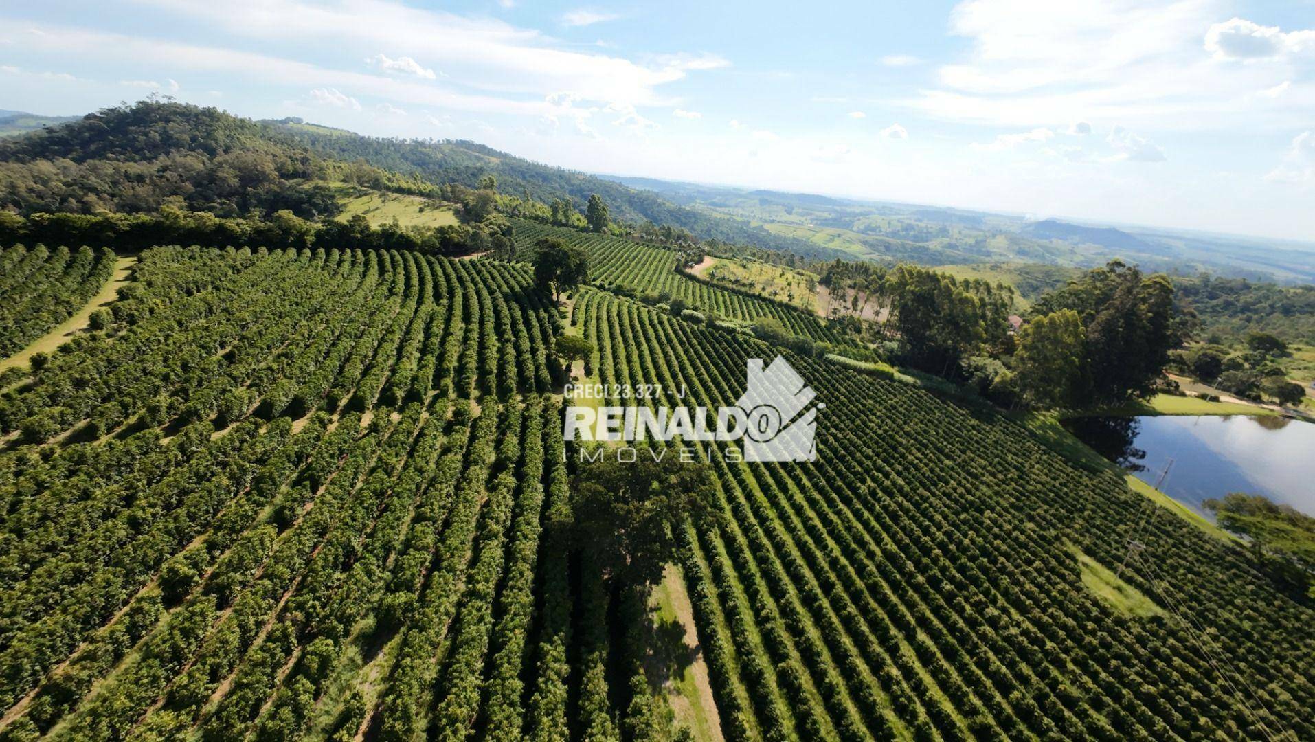 Fazenda à venda com 9 quartos, 5000m² - Foto 6